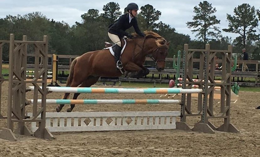 Ann Patin participated in the Hunter/Jumper at Serenity Horse show in Folsom, LA
